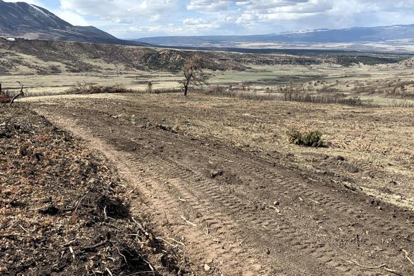 Driveway Construction
