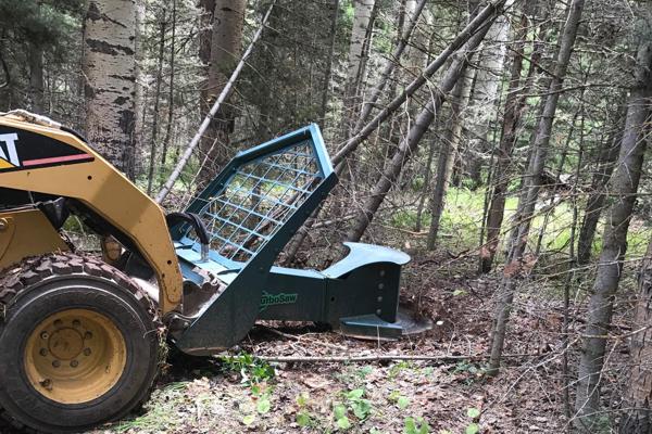 Cutting Trees and Under Brush for Land Clearing