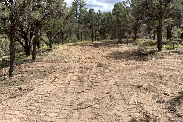 Trees and Brush cleared for Fire Mitigation