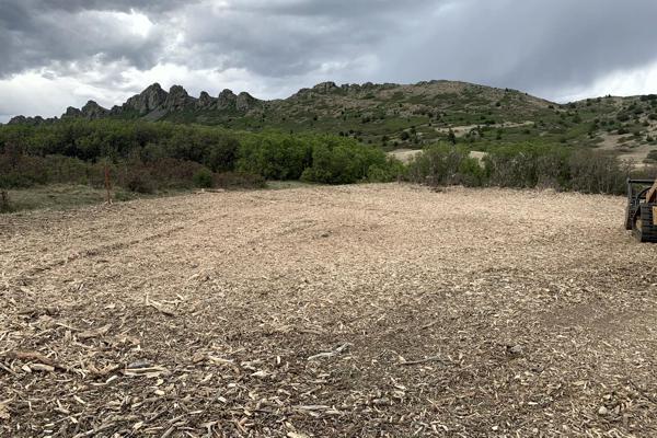 Trees and Brush cleared for Fire Mitigation