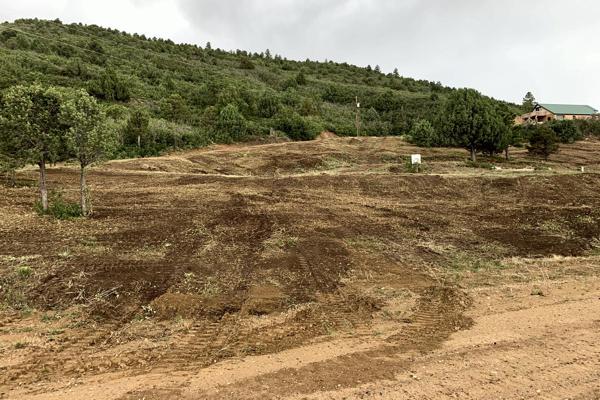Trees and Brush cleared for Fire Mitigation