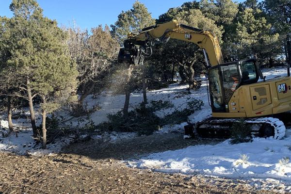 Tree Mulching for Land Celaring