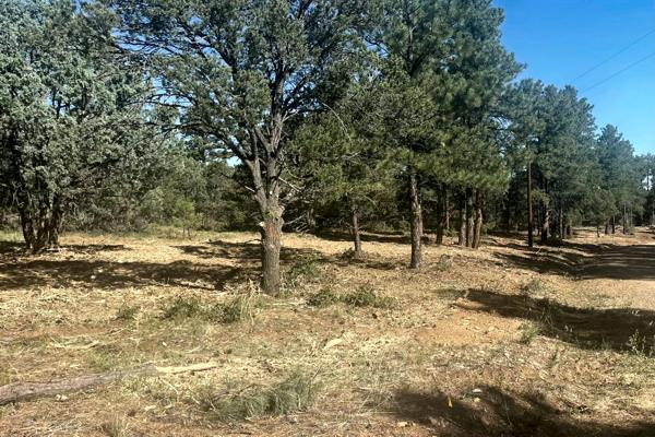 After Fire Mittigation