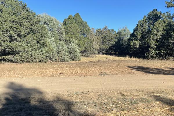 After Fire Mittigation